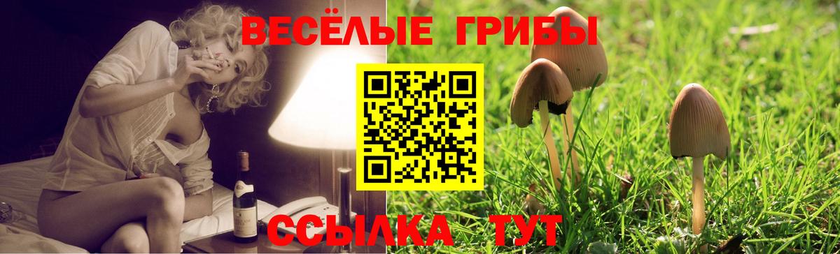 Красный Сулин  Псилоцибиновые грибы GOLDEN TEACHER  Вход с VPN 